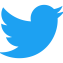 Blue Twitter bird icon